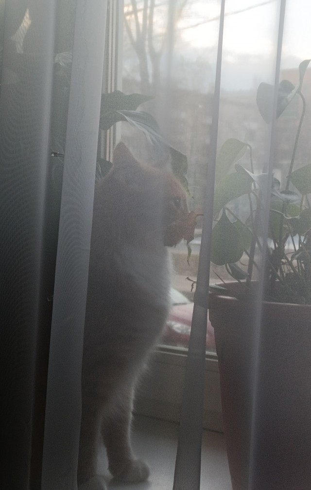 Уснул, демон!