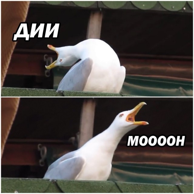 Дима