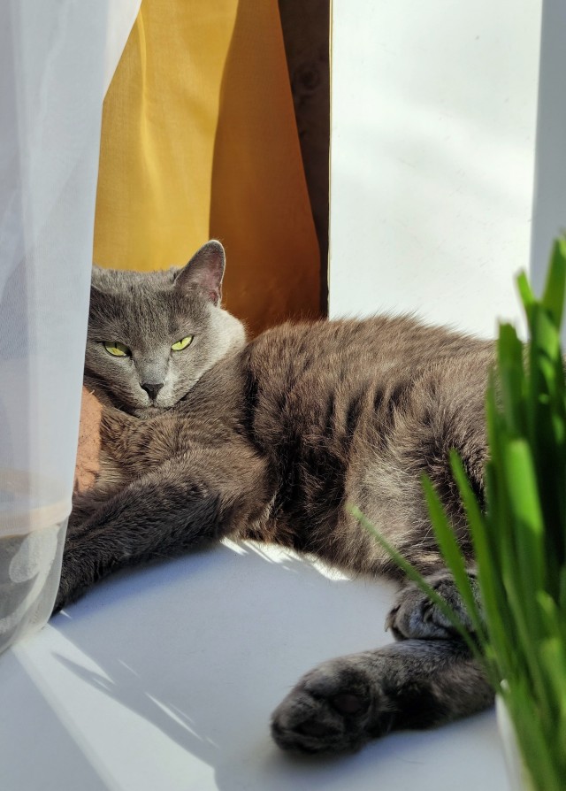 Котское.