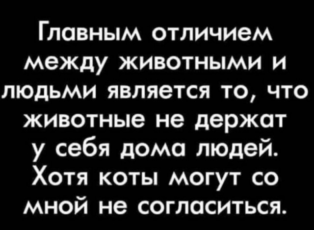 Так себе картинки 05.07.26