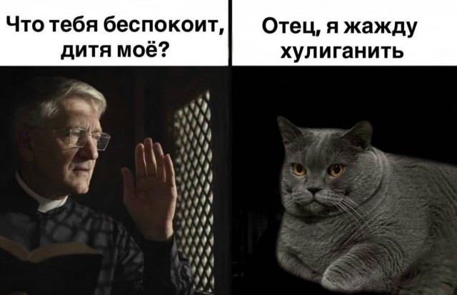 мемчики