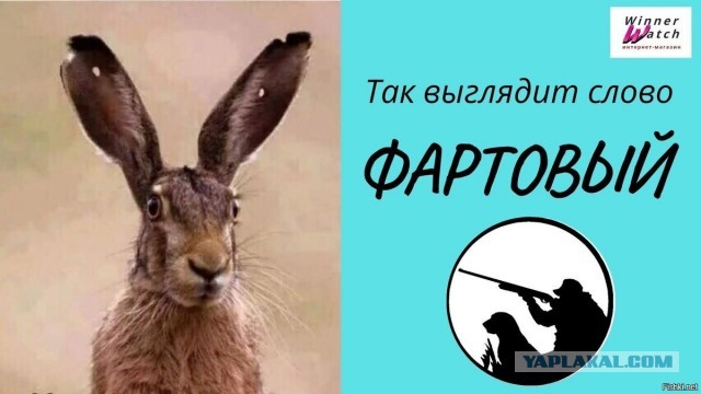 Снова про морковки от Озон