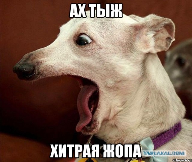 На внимательность