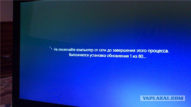 После года "общения" с Windows 8