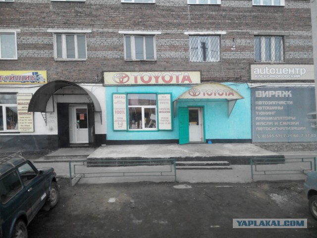 Озеленение Владивостока.