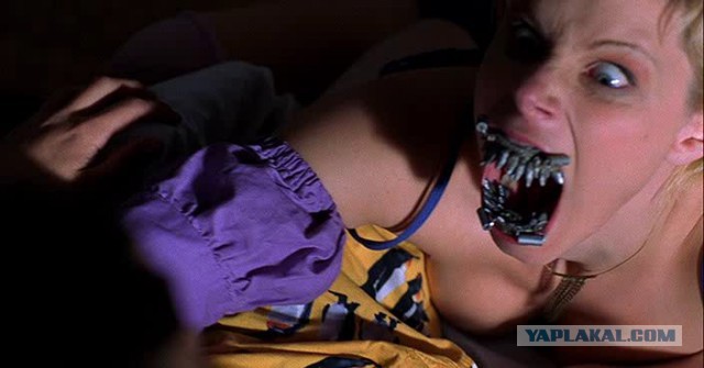 Мне нужен твой вискас, одежда и мотоцикл!