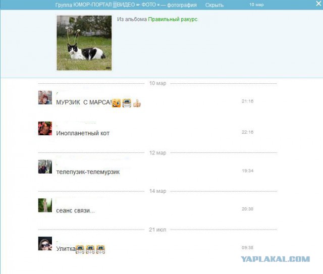 Смешные комментарии из социальных сетей