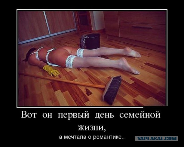 Весёлые картинки
