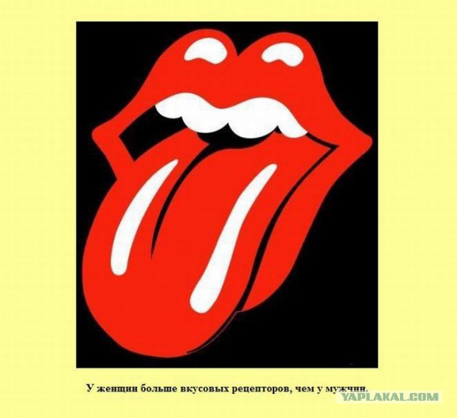 20 фактов обо всем