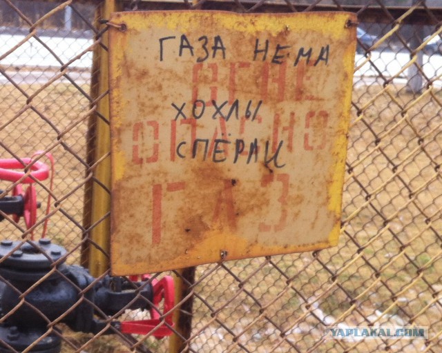 Разные разности с телефона