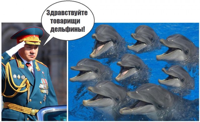 Американцы купили порт под Одессой.
