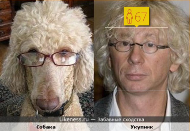 Кому сколько лет?