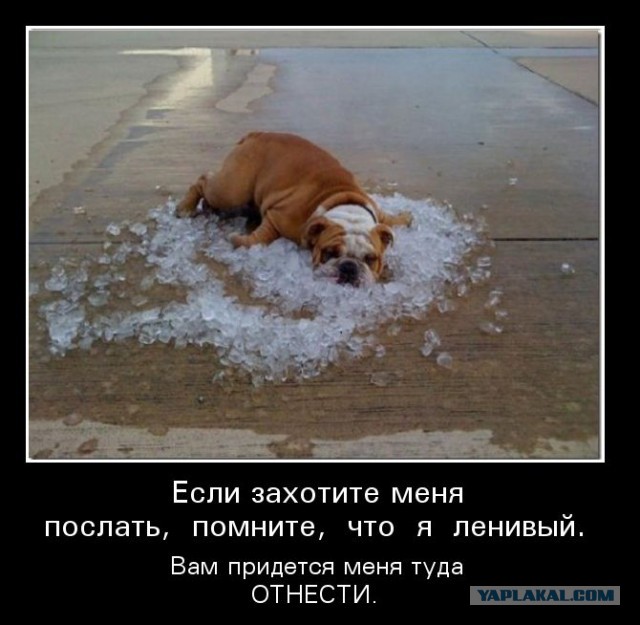 Подборка демотиваторов
