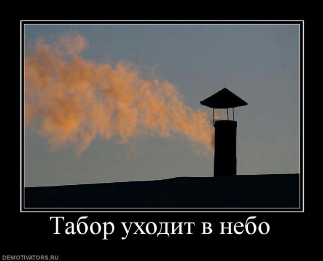 В Германии беженцев разместили на территории