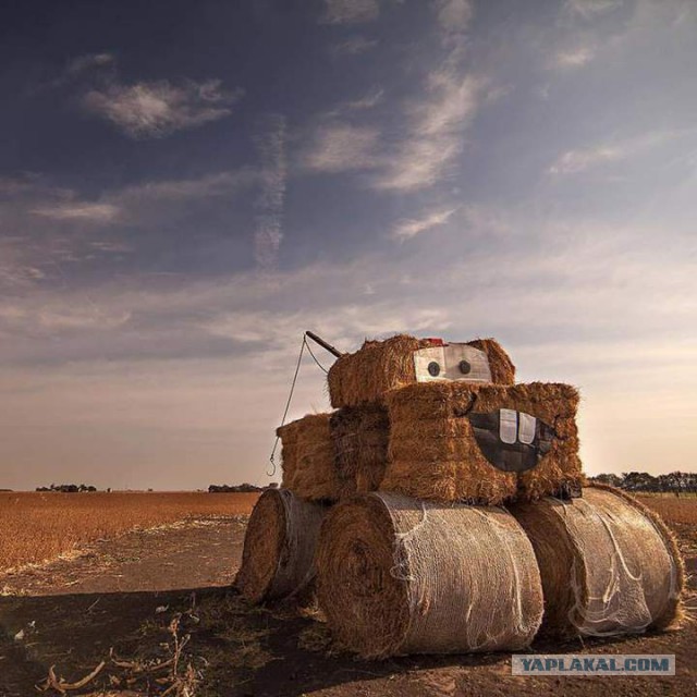 Подборка веселых картинок