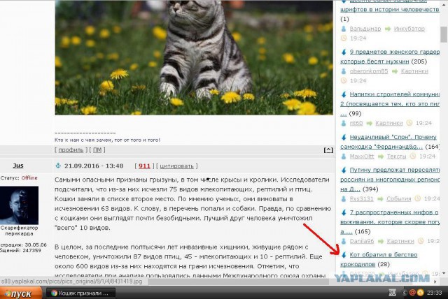 Кошек признали опаснейшими хищниками на Земле