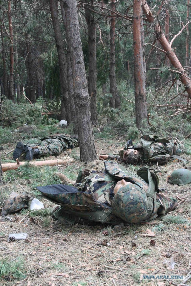 Как я был на маленькой войне в 2008 г.