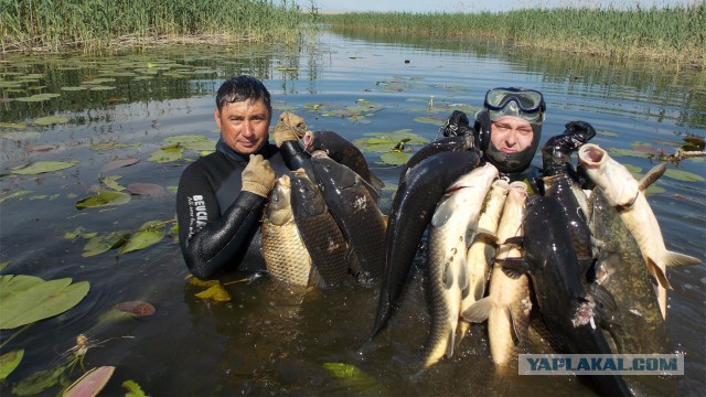 Подвохам посвящается...