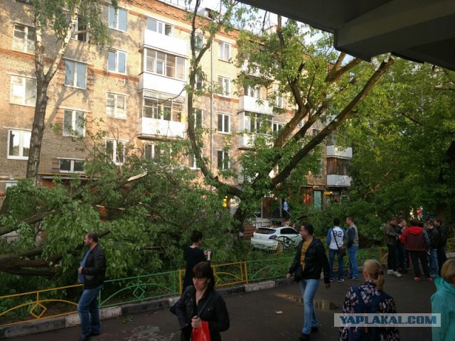 В Москве ураган!