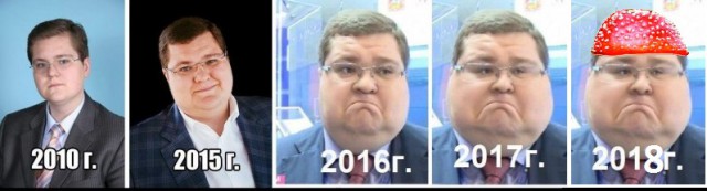 Сын Чайки получил разрешение на строительство завода по переработке грибов и овощей
