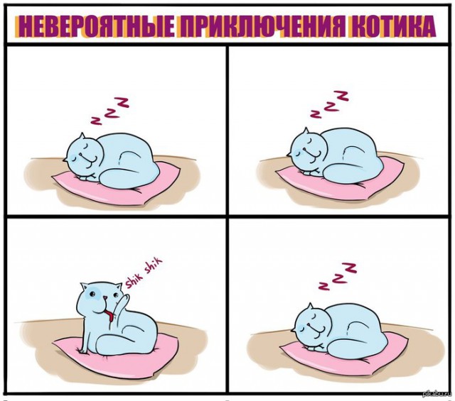 Жизнь, наполненная чудесами и волшебством