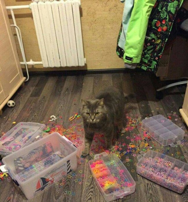 Люди, которые расскажут вам, что такое полный облом
