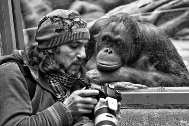 Подборка эмоциональных фотографий
