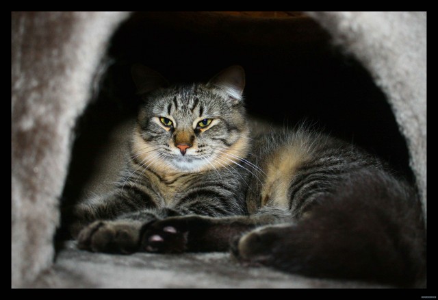 КОТовторник 13.04.2010г.
