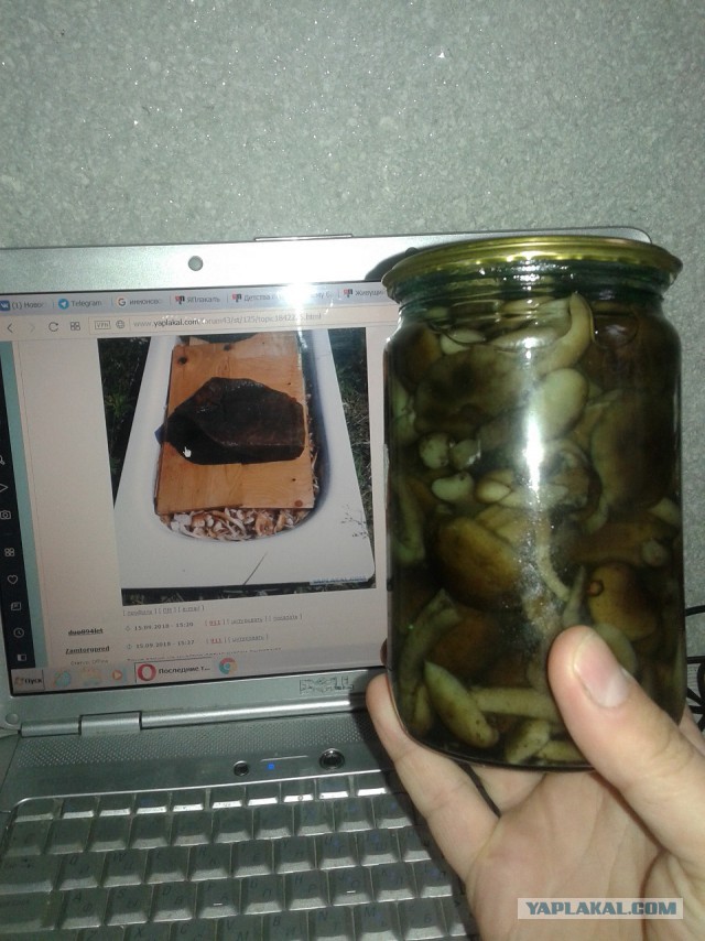 Последние тёплые дни, поход за грибами