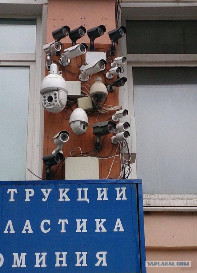 Выловлено в наших сетях