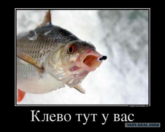 Пора на рыбалку идти