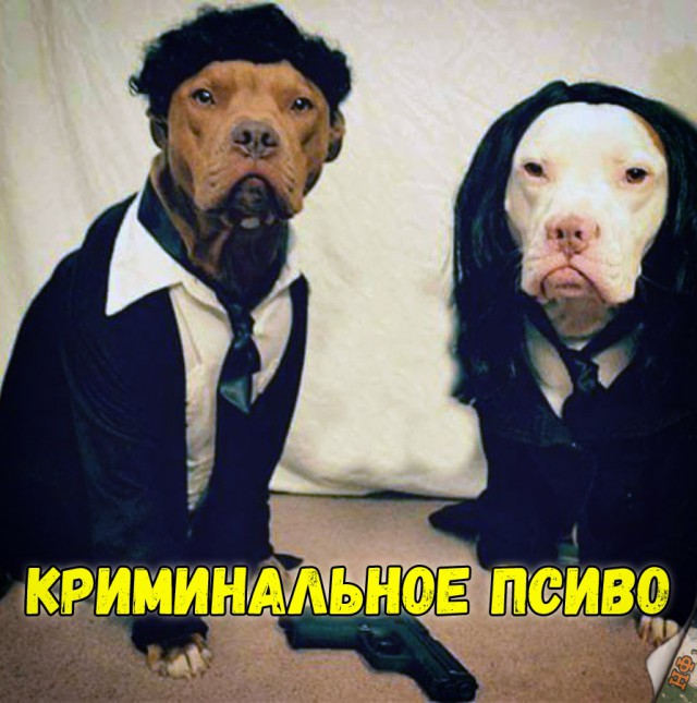 Прикольные картинки абавсём