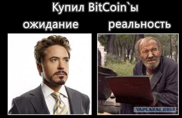 Биток растет
