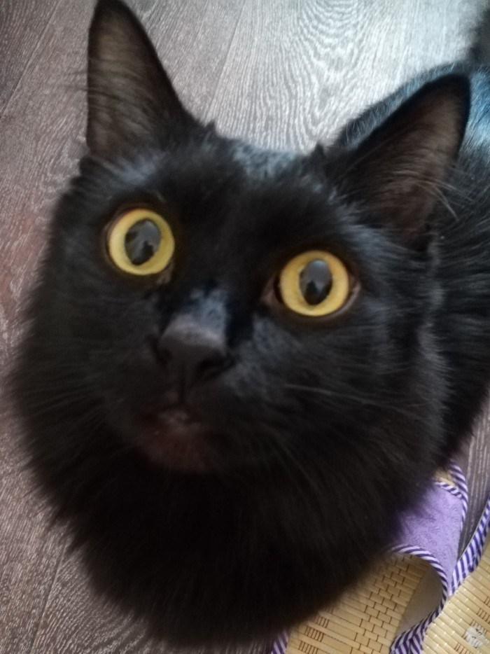 Paзнoвиднocти тьмы