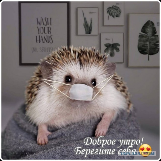 В свете злободневного