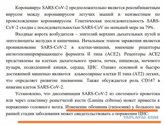 Пандемия. Коронавирус. Россия и мир. Последняя информация. Часть 11