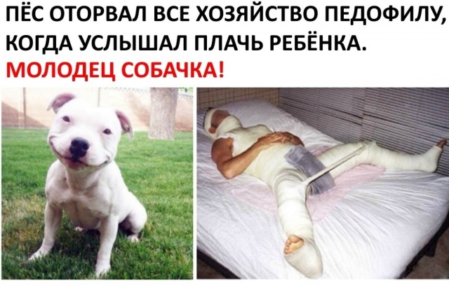 Пятница. И немного слегка пошлых картинок с надписями и без 16+ (24.07)