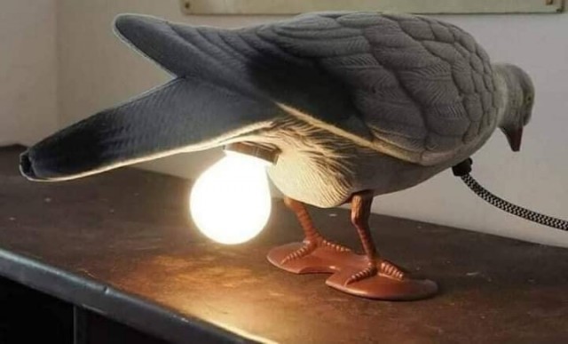 Трэш, угар и садо мазда