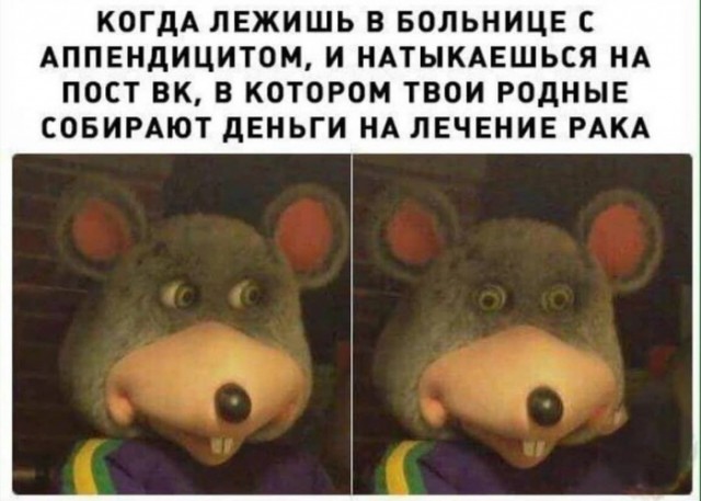 Немного картинок