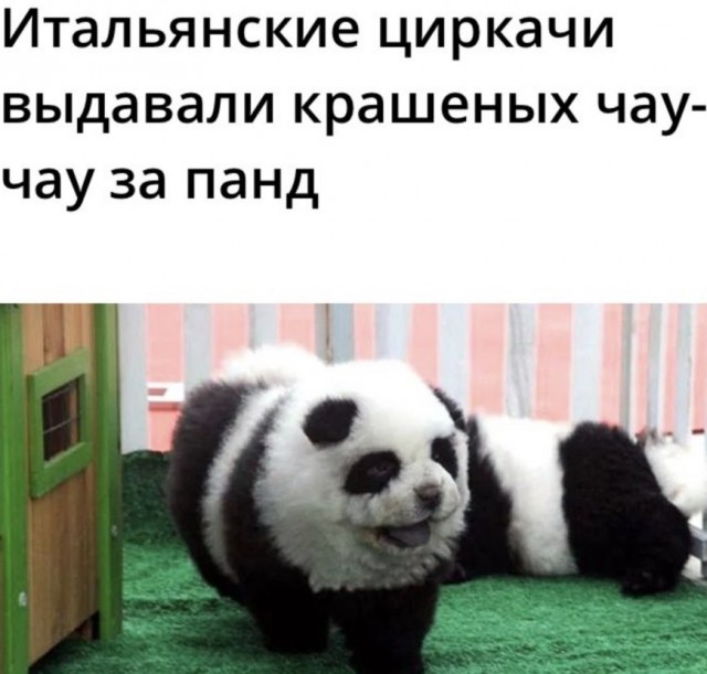 Бредзона 23.10.2020