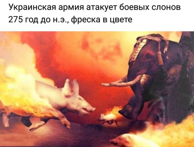 АХТУНГ! все на плановую деградацию!