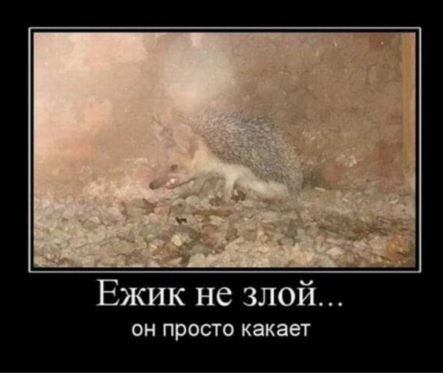 Дебилизмы из сети 8.02.21