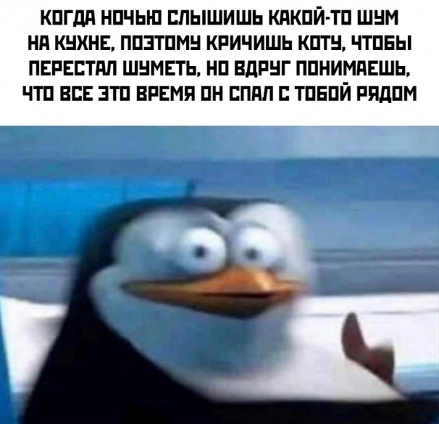 Весёлый полтишок 13.02