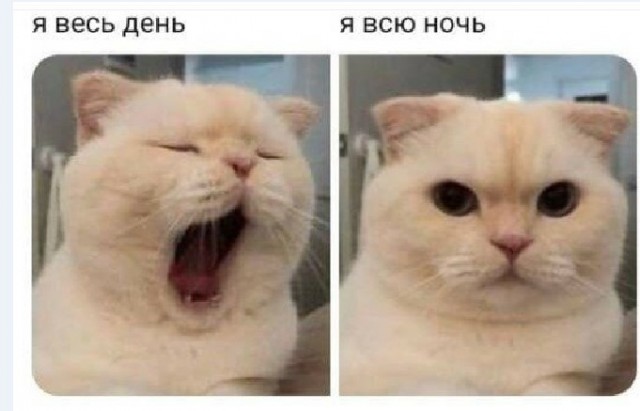 Картинки и мемы для настроения