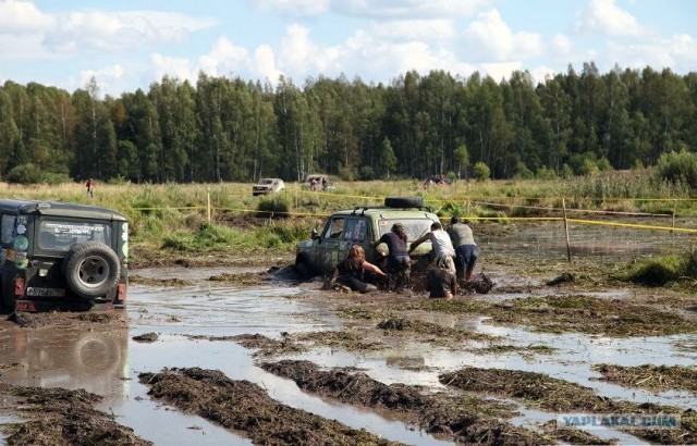 Друзья поспорили