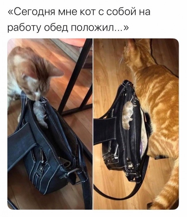 Так себе картинки 21.04.21