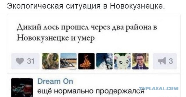 Картинки и мемы, всем прекрасных выходных