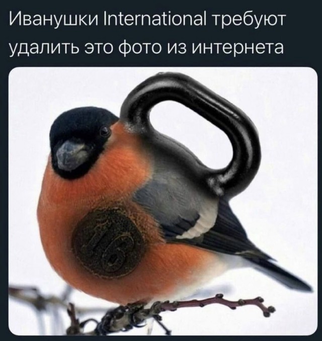 Человек собаке друг и другие картинки и мемы  под настроение