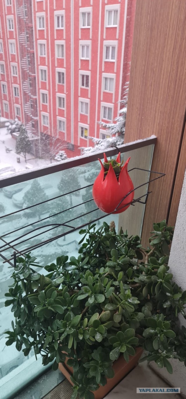 Коротко о погоде в Краснодарском крае. Когда веришь в свои силы и уверен, что добежишь до отъезжающей маршрутки