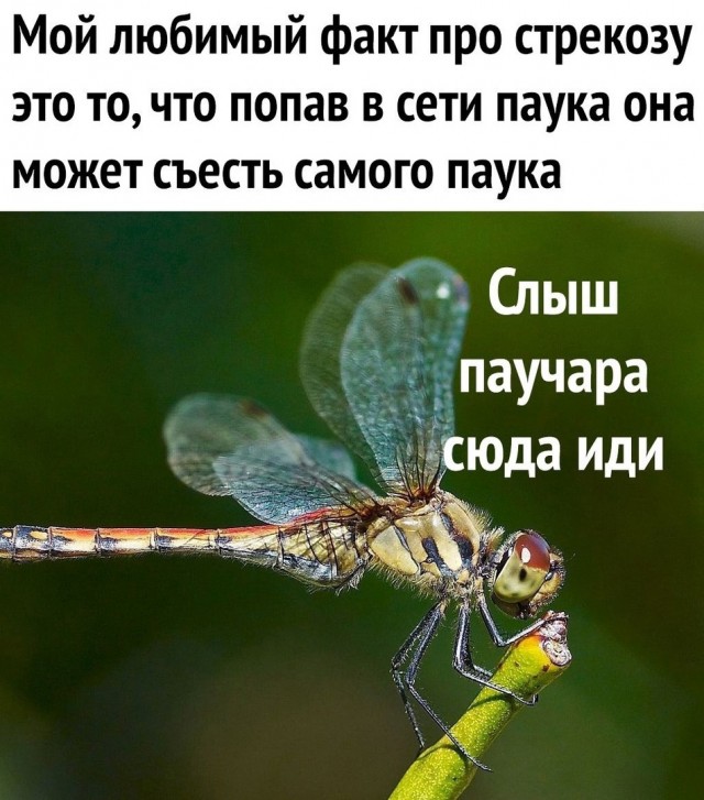 Так себе картинки 12.02.22